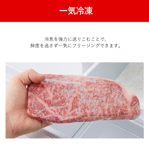 【標準設置費込】東芝 GR-Y41GH(WU) 冷蔵庫 411L 右開き 基本機能を搭載した5ドアタイプ 送料無料(沖縄県・離島は配送不可)