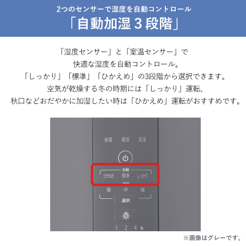 象印 ZOJIRUSHI EE-DF35-WA スチーム式加湿器 3.0L ホワイト 送料無料(沖縄県・離島除く)