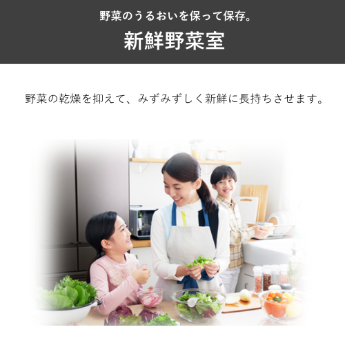 【標準設置費込】三菱電機 MR-JW55N-M 冷蔵庫 両開き 中だけひろびろ大容量 JWシリーズ 547L ロイヤルウッド 送料無料(東京/神奈川/千葉のみ配送可能)