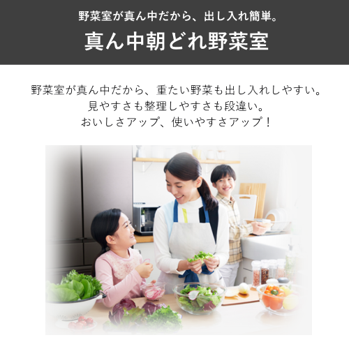 【標準設置費込】三菱電機 MR-MZ49N-H 冷蔵庫 両開き 中だけひろびろ大容量 MZシリーズ 485L グランドアンバー グレー 送料無料(東京/神奈川/千葉のみ配送可能)